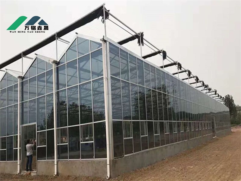 山东玻璃温室多肉培育大棚1750m²