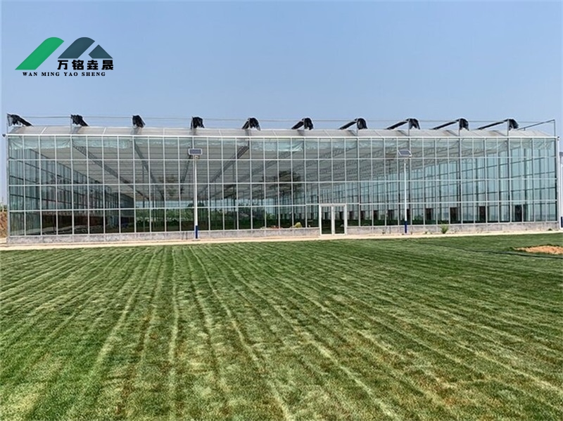 浙江天台县温室项目4300m²