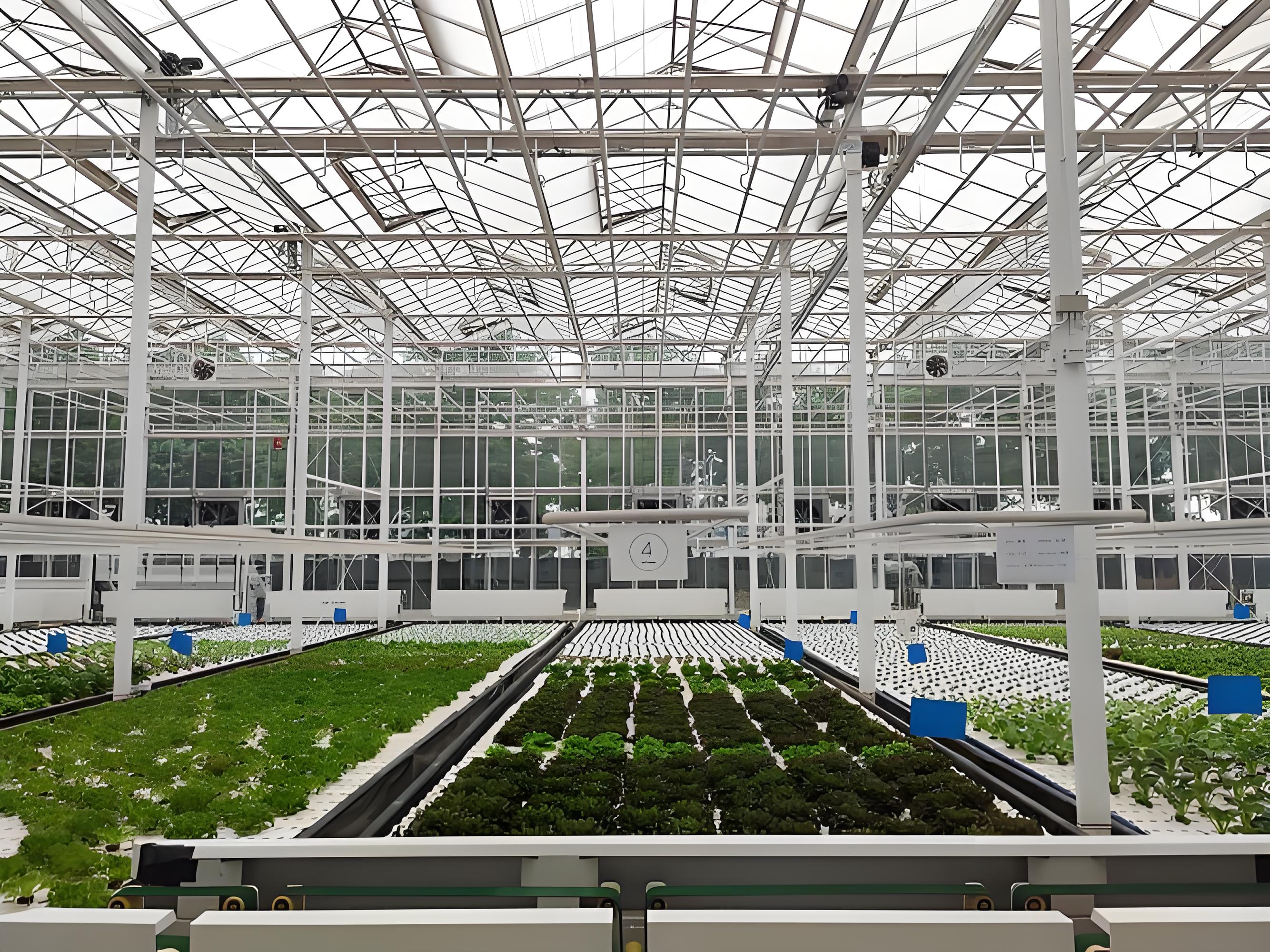 生产型智慧玻璃温室种植模式