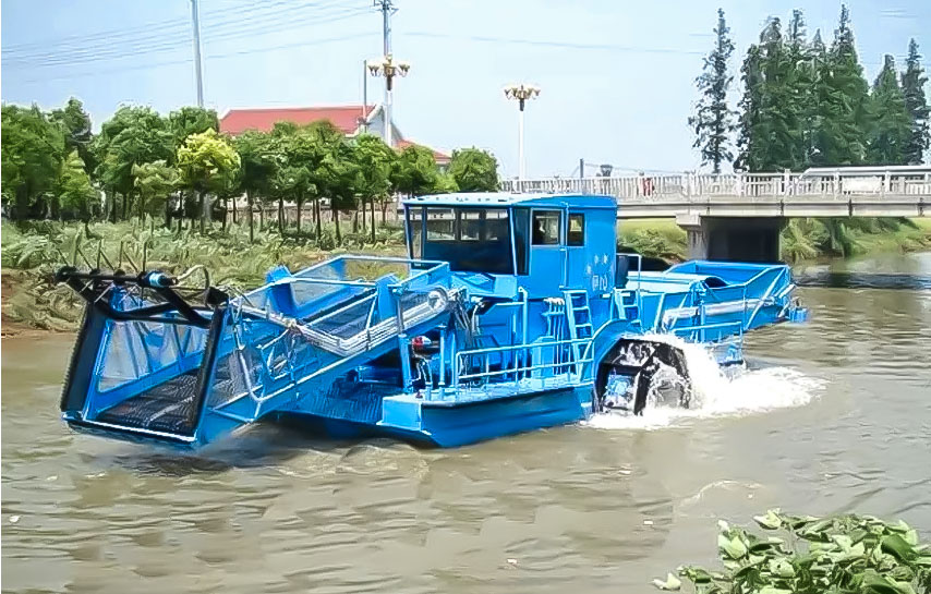 我公司的割草船能处理哪些类型的水生植物？