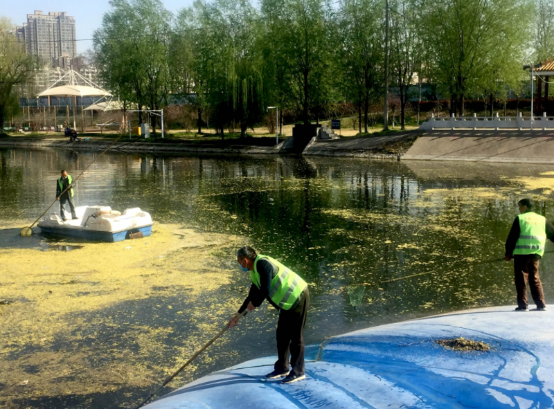 相比传统人工水面保洁，使用垃圾打捞船和水面保洁船有哪些不可替代的优势？