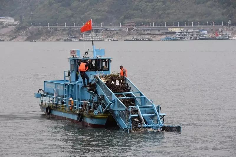 水面保洁船的作业效率受哪些因素影响，如何提升其保洁效果？